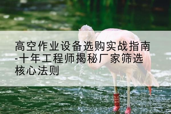 禄丰剪叉式升降机厂家-高空作业设备选购实战指南-十年工程师揭秘厂家筛选核心法则