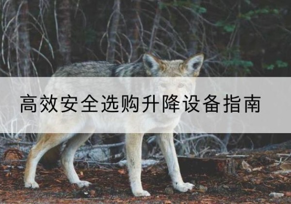 禄丰升降货梯厂家推荐-*安全选购升降设备指南