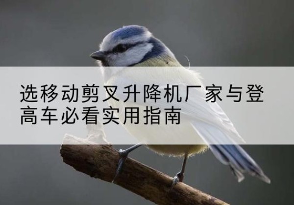 禄丰电动升降机厂家-选移动剪叉升降机厂家与登高车必看实用指南