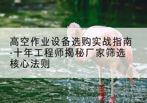 禄丰剪叉式升降机厂家-高空作业设备选购实战指南-十年工程师揭秘厂家筛选核心法则